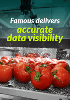 Famous Software Digital Ads Famous Software Digital Ads