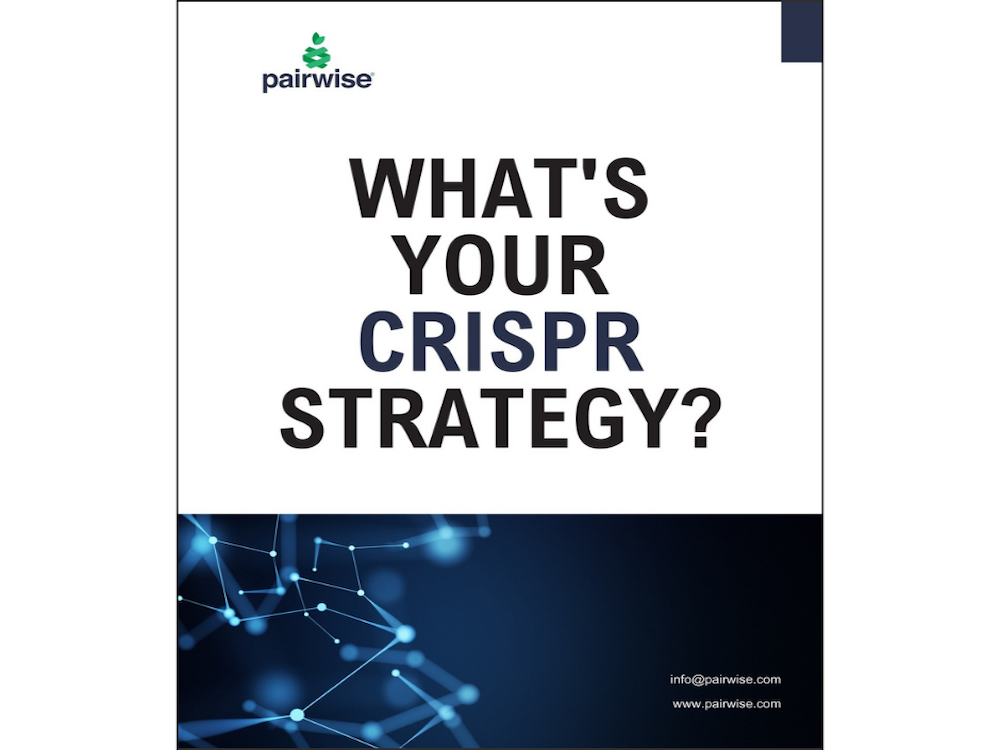 What's Your CRISPR Strategy? Paper